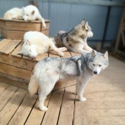 Фото Апартаменты на улице Гагарина 152