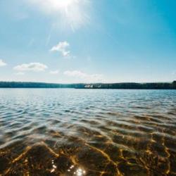 Фото Отель Чемпион