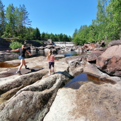 Фото Отель Гостевой комплекс Сосны