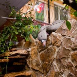 Фото Отель Магнолия