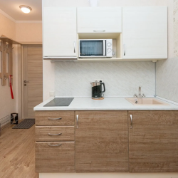 Квартира-студия, 22 м², 1 кровать