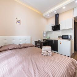 2-местные 1-комнатные апартаменты студия ул. Автозаводская, 23с931к3 с 1 двуспальной кроватью