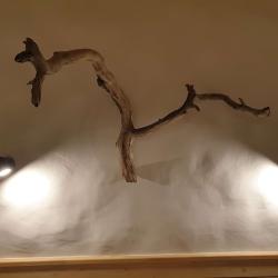 Фото Отель Ranta (Ранта)