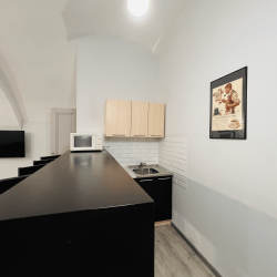 3-комнатные апартаменты улучшенные АПАРТАМЕНТЫ LOFT