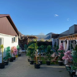 Фото Отель Оленев СПА