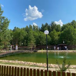 4-местный коттедж в лесу №9