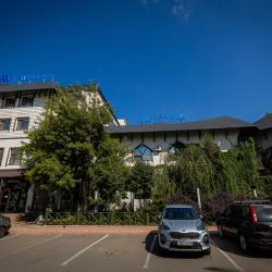 Фото Отель Метелица