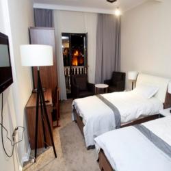 Фото Отель Citadel Narikala Hotel (Цитадель Нарикала)