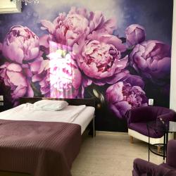 Номер делюкс с видом на город