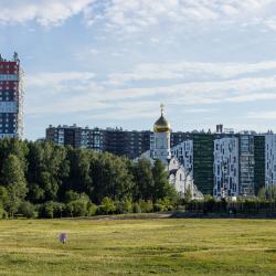 фото 25 С. Утками на проспекте Европейский