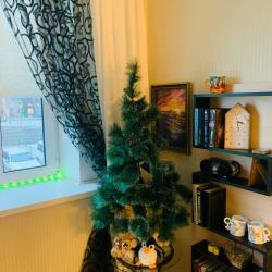 Фото Апартаменты Like home на улице Чистяковой 67