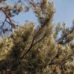 Фото Отель Villa Malina (Вилла Малина)