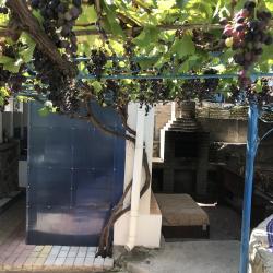 Фото Отель Анни