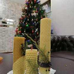 Фото Мини-отель Елена