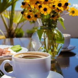 Фото Отель SanZazila (СанЗазила)