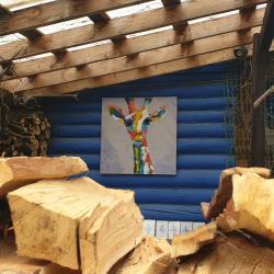 Фото Отель Лавандовый сад