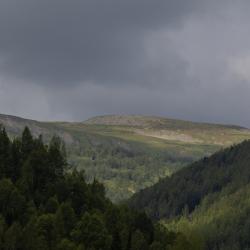 Фото Отель Ажур