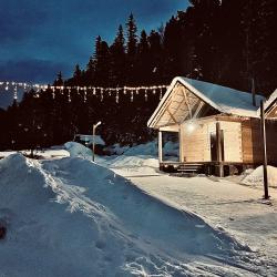 Фото Отель Гостевой дом Еловый