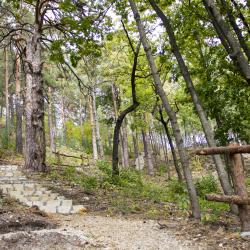 Фото Парк-отель ий