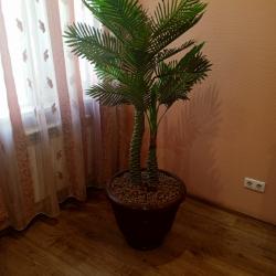 Номер студия свадебный (мансарда)