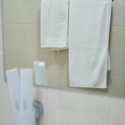 Фото Отель Inga Hotel Yerevan (Инга )