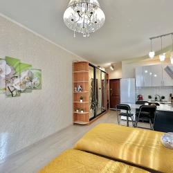 1-комнатные апартаменты студия