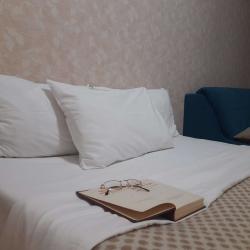 Фото Апартаменты на проспекте Ленина 103