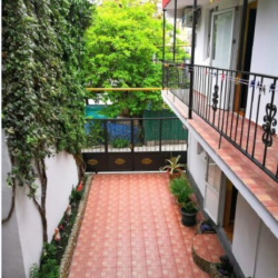 Фото Отель Альбина