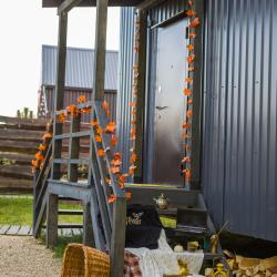 Коттедж улучшенный Когтевран