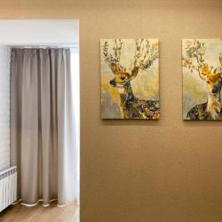 Фото Отель Nova (Нова)