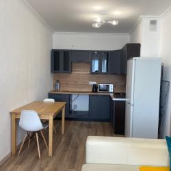 Фото Апартаменты на Левитана 95А