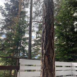 Фото Отель Solur (Солюр)