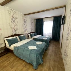 Фото Отель Шишкино-парк аэропорт Домодедово