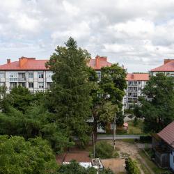 2-комнатные апартаменты люкс