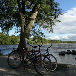 Фото Отель Угребись