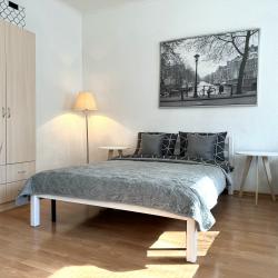 1-комнатные апартаменты стандарт ул. Щапова, 45