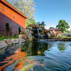 Фото Отель Dacha Place (Дача Плейс)