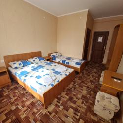 Комната стандарт с 1 односпальной и 1 двуспальной кроватью