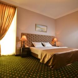 Номер полулюкс с 1 двуспальной кроватью