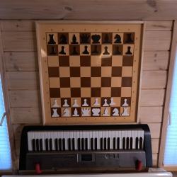 Фото Отель Стильный домик ДубльДом