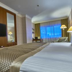 Номер полулюкс с 1 двуспальной кроватью