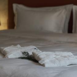 Номер делюкс семейный