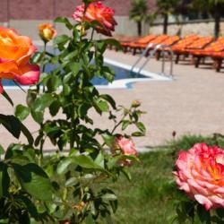 Фото Отель Ривьера