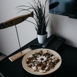 Фото Отель Круиз