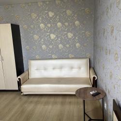 Фото Апартаменты на улице Советская 42