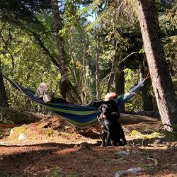 Фото Отель Тайна Гор