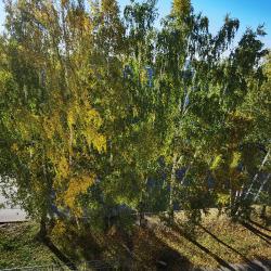 Фото Отель Калина на улице Никитина 32