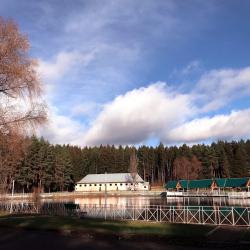 Фото Отель Лесная Сказка