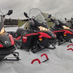 Фото Отель Снежные Гуси