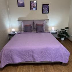 1-комнатные апартаменты улучшенные